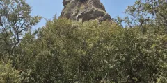 Guest photo from review